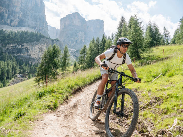 Image de Balade en VTT en forêt