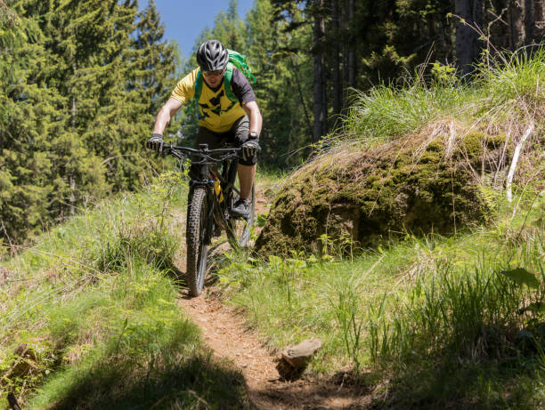 Image de Balade en VTT en forêt