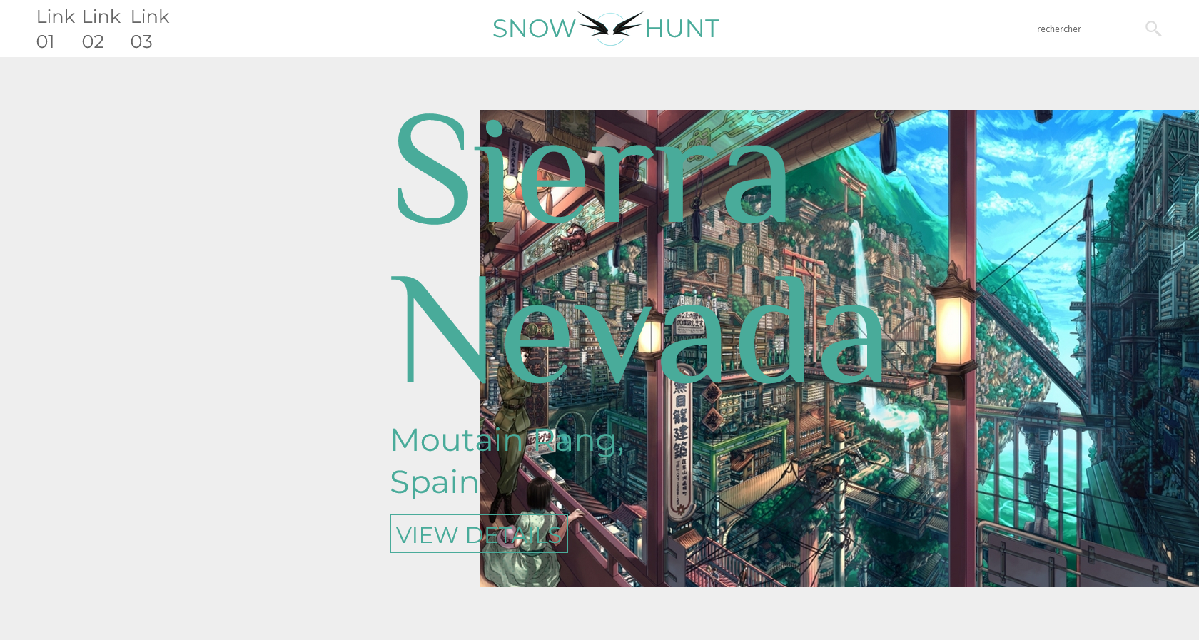 Snow Hunt